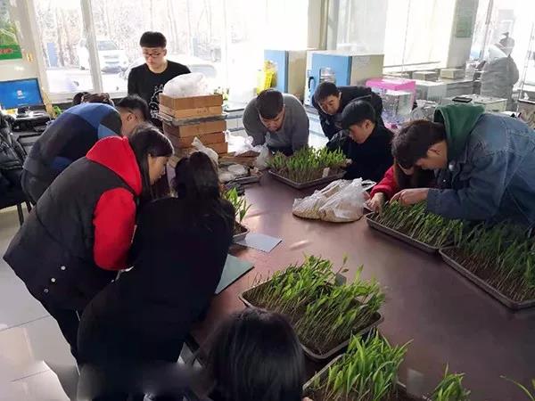 微(wēi)信圖片_20181120161939.jpg