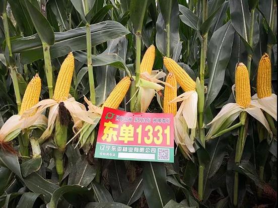 微(wēi)信圖片_20190326151025.jpg