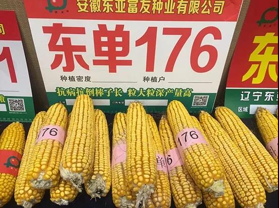 微(wēi)信圖片_20190326151107.jpg