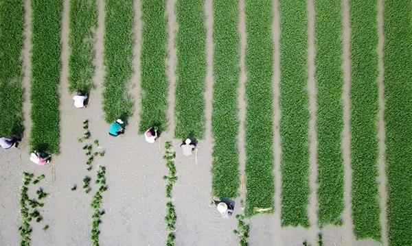 微(wēi)信圖片_20190610083425.jpg