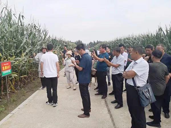 微(wēi)信圖片_20190830081603.jpg