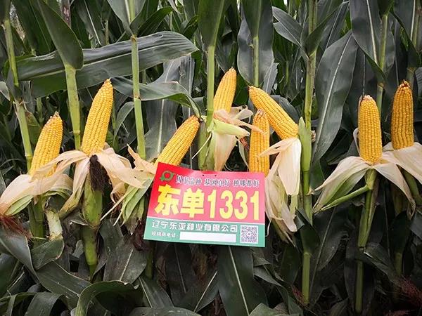 微(wēi)信圖片_20190904141629.jpg