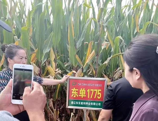 微(wēi)信圖片_20190904141915.jpg