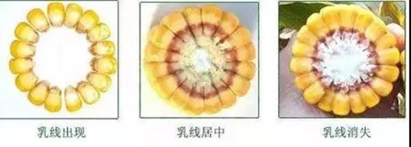 微(wēi)信圖片_20190913104836.jpg