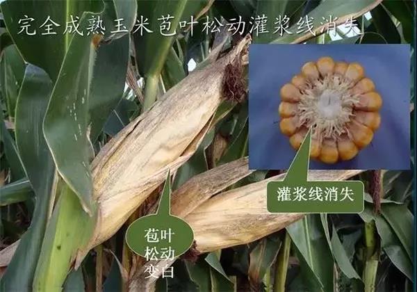 微(wēi)信圖片_20190913104839.jpg