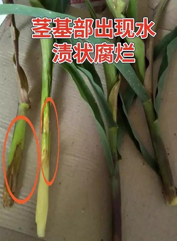 微(wēi)信圖片_20200724172047.jpg