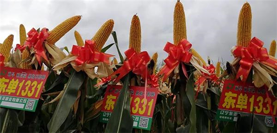 微(wēi)信圖片_20210321130409.jpg