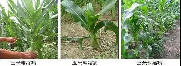 微(wēi)信圖片_20210630163507.jpg