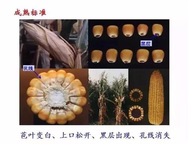微(wēi)信圖片_20210810144553.jpg