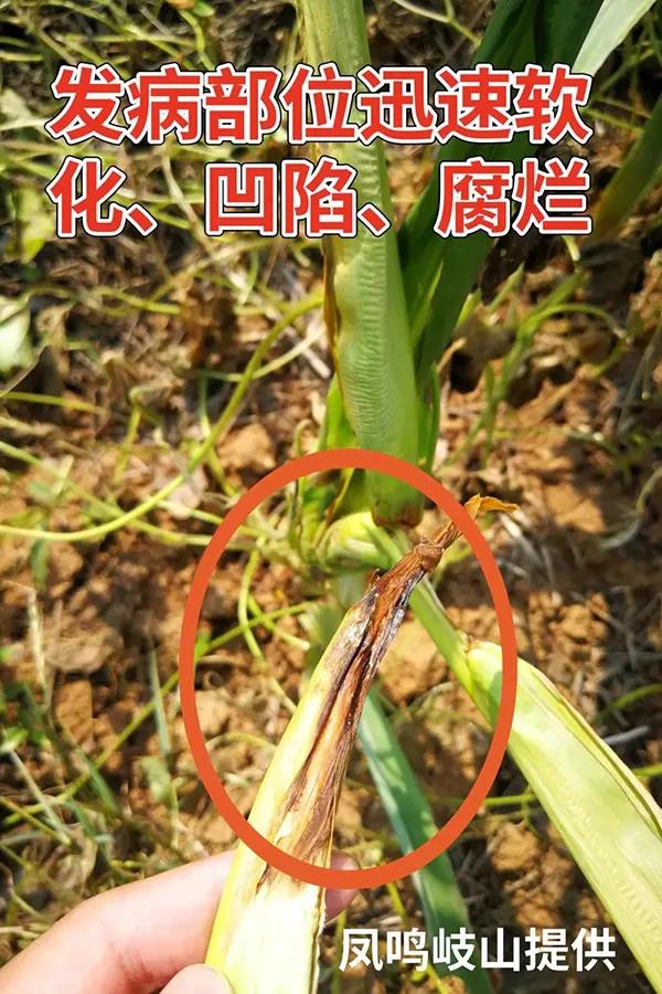 微(wēi)信圖片_20210810144912.jpg