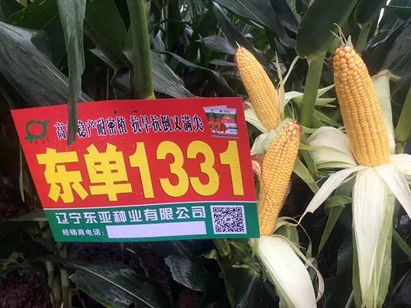 微(wēi)信圖片_20210901091409.jpg