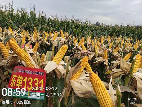 微(wēi)信圖片_20210901091416.jpg