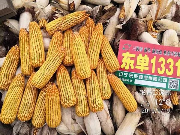 微(wēi)信圖片_20211019094435.jpg