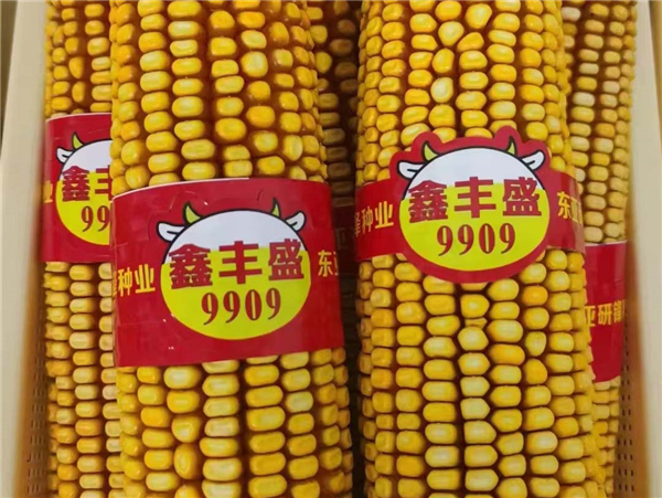 微(wēi)信圖片_20230423231523.jpg