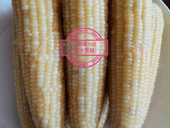 微(wēi)信圖片_20201023150912.jpg
