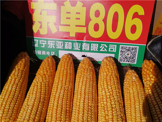 東(dōng)單806