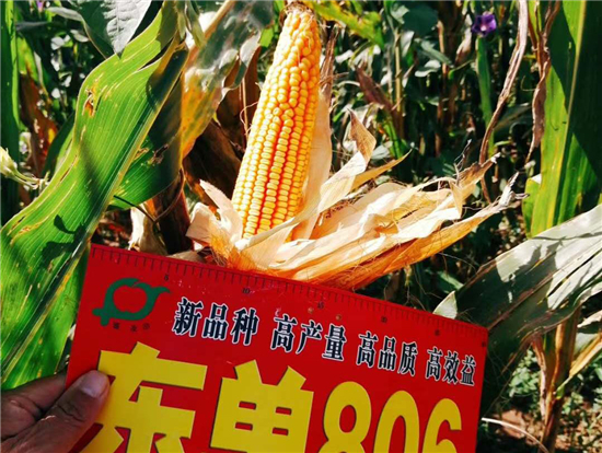 微(wēi)信圖片_20200919090612.jpg