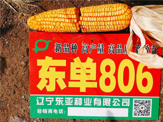 微(wēi)信圖片_20200919090620.jpg