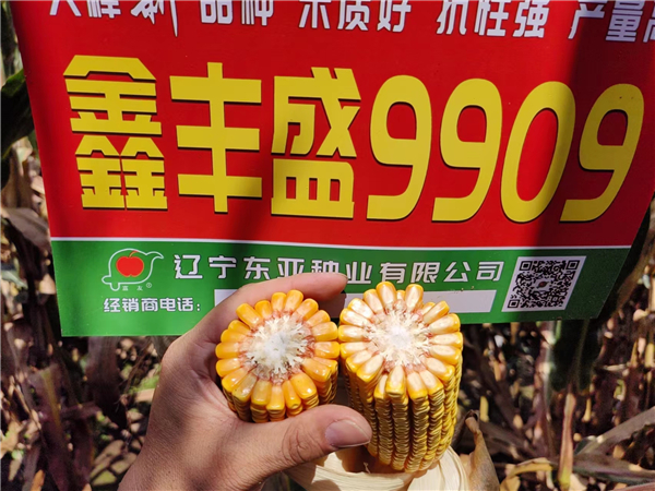 微(wēi)信圖片_20230927081643.jpg